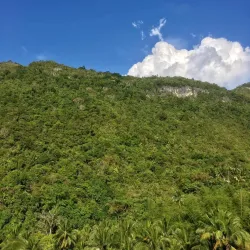 Mount Lanaya - Danao