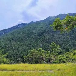 Mount Lanaya - Danao