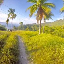 Mount Lanaya - Danao