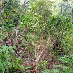 Mount Lanaya - Danao