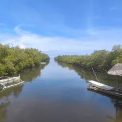 Tayud Mangrove Eco-Park - Danao