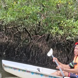 Tayud Mangrove Eco-Park - Danao