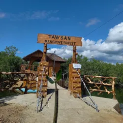 Tayud Mangrove Eco-Park - Danao