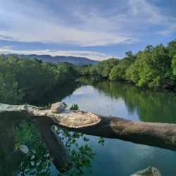 Tayud Mangrove Eco-Park - Danao
