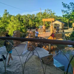 Tayud Mangrove Eco-Park - Danao