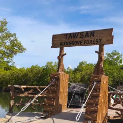 Tayud Mangrove Eco-Park - Danao
