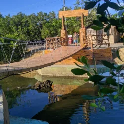 Tayud Mangrove Eco-Park - Danao