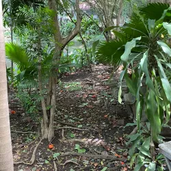 Dasmariñas City Museum - Dasmarinas