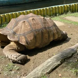 Davao Crocodile Park - Davao