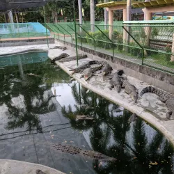 Davao Crocodile Park - Davao