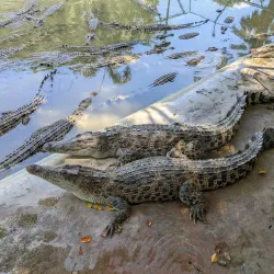 Davao Crocodile Park - Davao