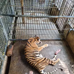 Davao Crocodile Park - Davao