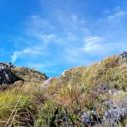 Mount Apo - Davao