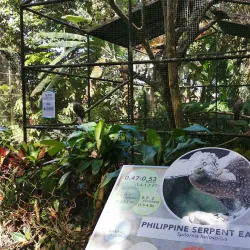 Philippine Eagle Center - Davao