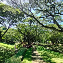 Digos Eco-Park - Digos City