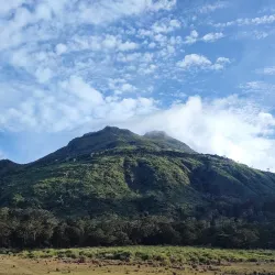 Mt. Apo Natural Park (nearby) - Digos City