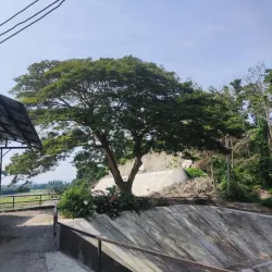 Padada River - Digos City