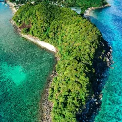 Apo Island Marine Sanctuary - Dumaguete