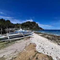 Apo Island Marine Sanctuary - Dumaguete