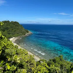 Apo Island Marine Sanctuary - Dumaguete