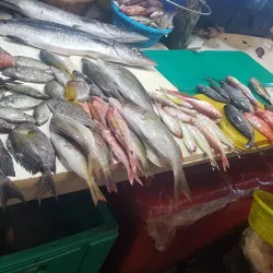 Dumaguete Public Market - Dumaguete