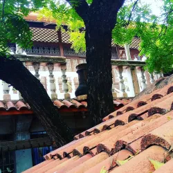 Dumaguete Public Market - Dumaguete
