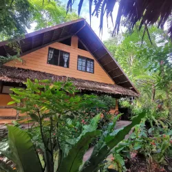 Forest Camp - Dumaguete