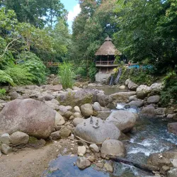 Forest Camp - Dumaguete