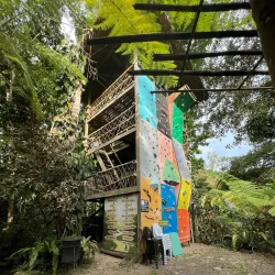 Forest Camp - Dumaguete