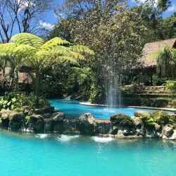 Forest Camp - Dumaguete