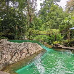 Forest Camp - Dumaguete