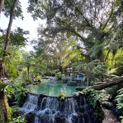 Forest Camp - Dumaguete