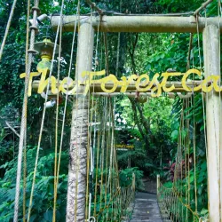 Forest Camp - Dumaguete