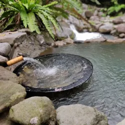 Forest Camp - Dumaguete