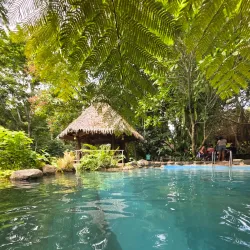 Forest Camp - Dumaguete