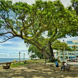 Rizal Boulevard - Dumaguete