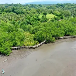 Sibulan Mangrove Eco-Park - Dumaguete