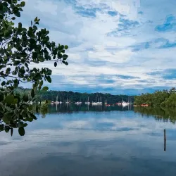 Sibulan Mangrove Eco-Park - Dumaguete