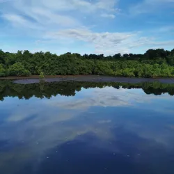 Sibulan Mangrove Eco-Park - Dumaguete