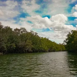 Sibulan Mangrove Eco-Park - Dumaguete