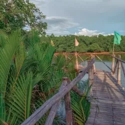 Sibulan Mangrove Eco-Park - Dumaguete