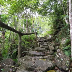 Twin Lakes of Balinsasayao and Danao Natural Park - Dumaguete