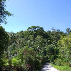 Twin Lakes of Balinsasayao and Danao Natural Park - Dumaguete