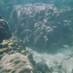 Cadlao Island - El Nido