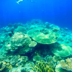 Secret Lagoon - El Nido
