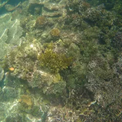 Small Lagoon - El Nido