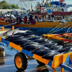 General Santos Fish Port Complex - General Santos (Dadiangas)