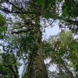 Mt. Matutum Natural Park - General Santos (Dadiangas)