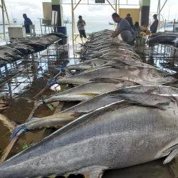 General Santos Fish Port Complex - General Santos
