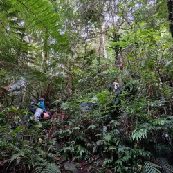 Mt. Matutum Natural Park - General Santos